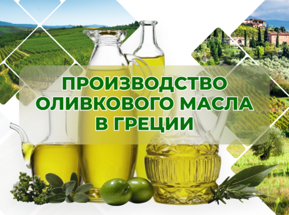 Производство оливкового масла в Греции (II раунд)